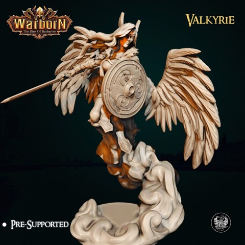 Image of Valkyrie