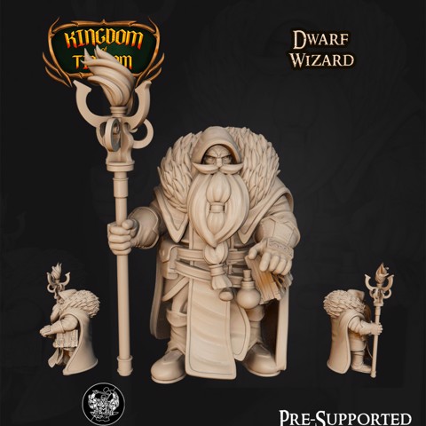 Image of Dwarf Wizard