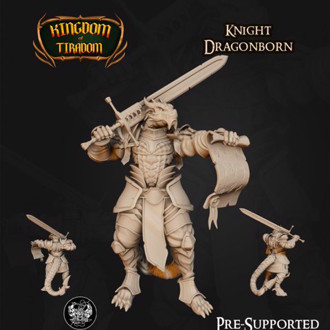 Image of Dragonborn Knight