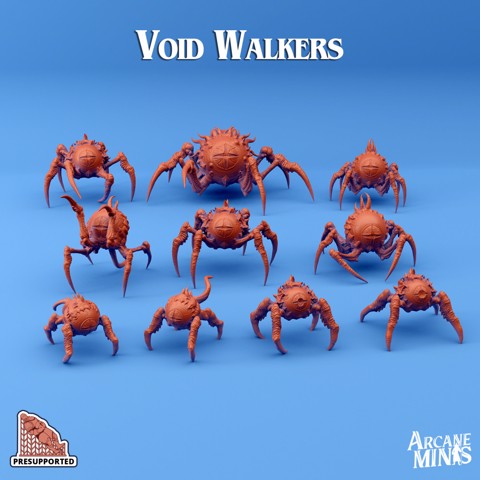 Image of Void Walkers