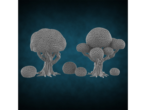 Image of Miniature Trees