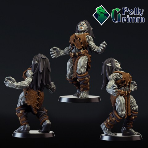 Image of Tabletop miniature. She wolf werewolf