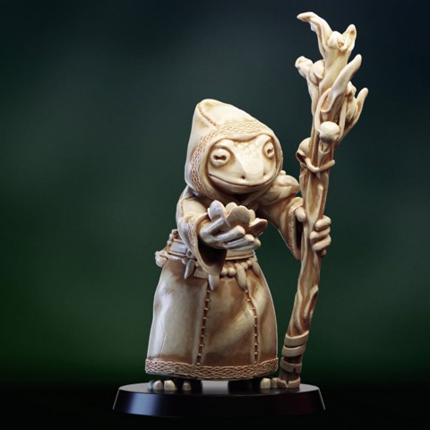 Image of Druid shaman Frogfolk