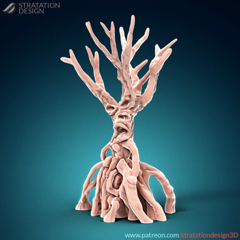 Image of Great Mangrove Tree