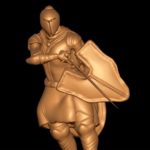 Image of Crusader Warrior
