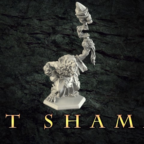 Image of Rat shaman