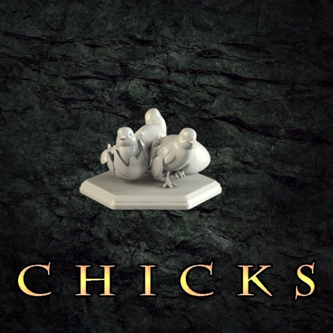 Image of Chicks