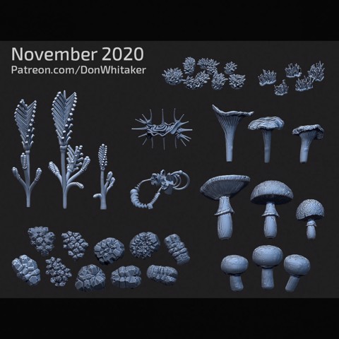 Image of Mini Mushrooms, Mosses, and Rocks