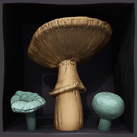 Image of Mini Mushrooms - Amanita, Chanterelle, and Cremini