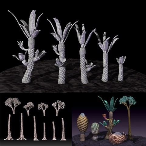 Image of More Prehistoric Plants - Williamsonia and Modular Lepidodendron