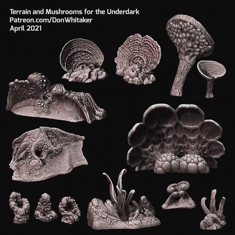 Image of Mushrooms and Terrain for the Underdark