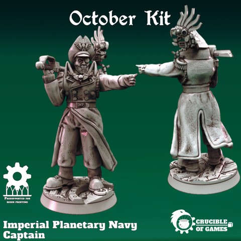 Image of Imperial Planetary Navy Captain