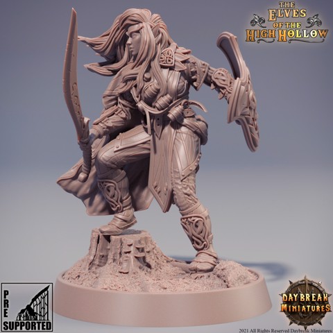 Image of Merlo Kataa - The Elves of the High Hollow