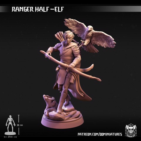 Image of Ranger Half -Elf