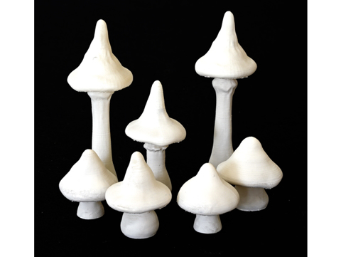 Image of Ubiquitous Mushroom Set 1