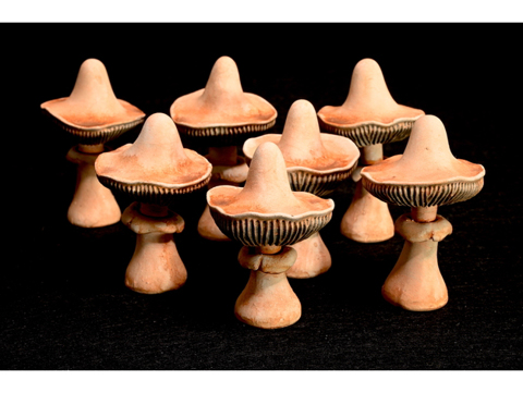 Image of Ubiquitous Mushroom Set 3