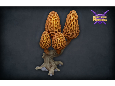 Image of RPM Patreon "Morel mushroom tree"