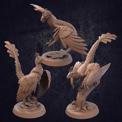 Image of Flying Raptors - Presupported