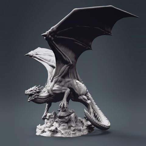 Image of White dragon