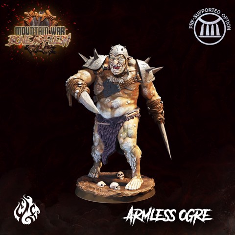 Image of Armless Ogre