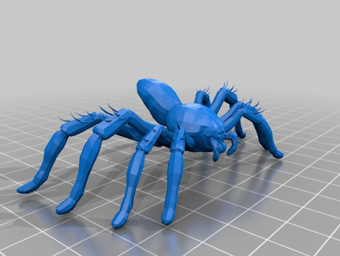 Image of Burrow Spider