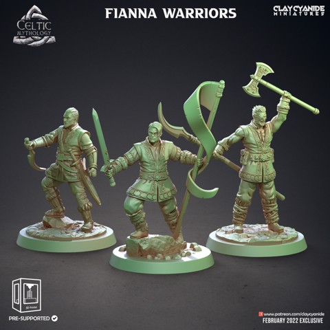 Image of Fianna Warriors