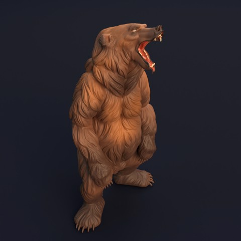 Image of Grizzly Bear