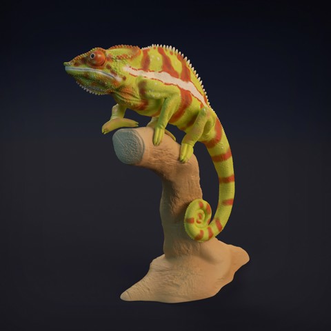 Image of Chameleon