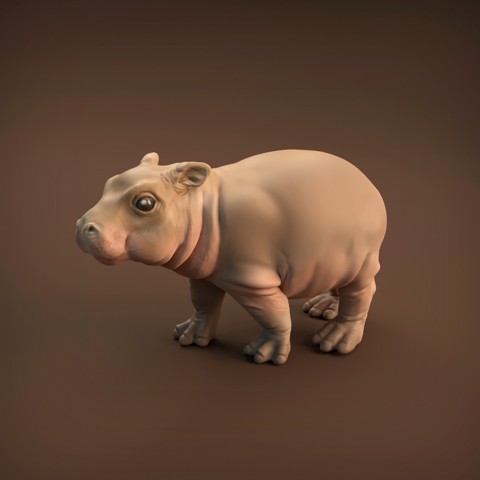 Image of Baby Hippo