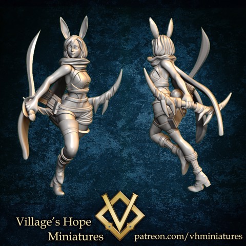 Image of Half rabbit archer / rogue