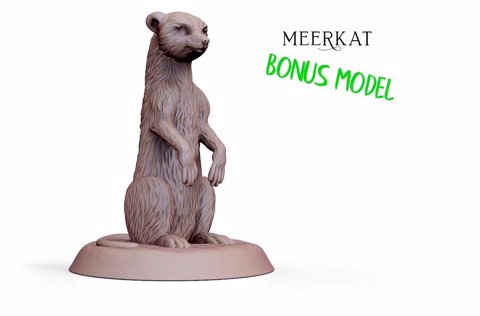 Image of Meerkat - 1 Pose