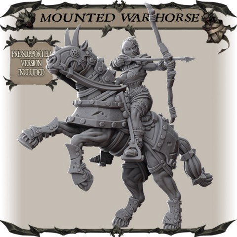 Image of Mounted War Horse