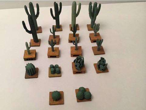 Image of Miniature Cacti Various Families Openlock