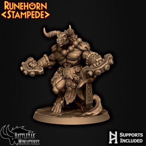 Image of Runehorn Stonebreaker Male C