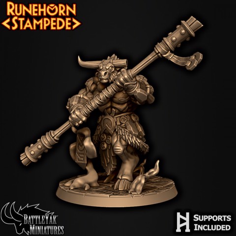 Image of Runehorn Stonebreaker Male D