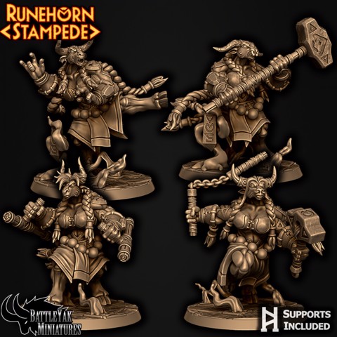 Image of Runehorn Stonebreaker Pack F