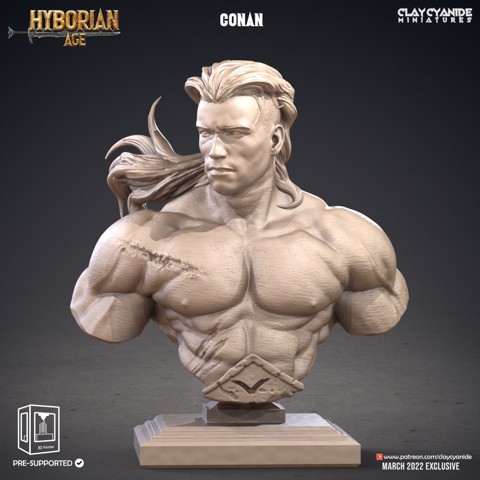 Image of Conan Bust