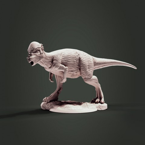 Image of Pachycephalosaurus