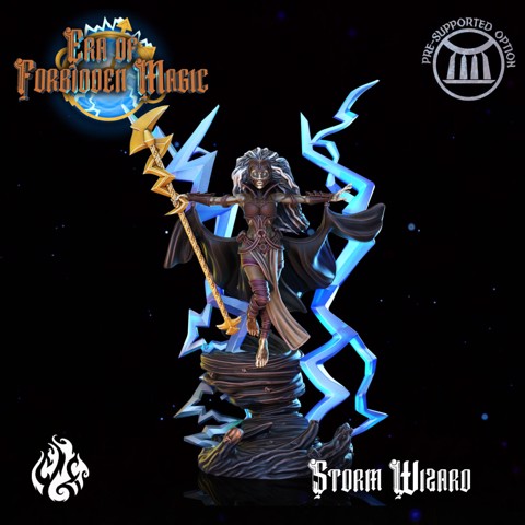Image of Storm Wizard