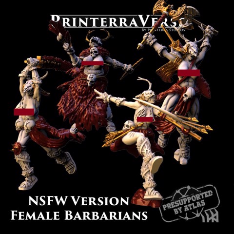 Image of 004 NSFW Barbarians