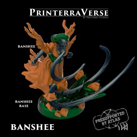 Image of 002-1-002 Banshee