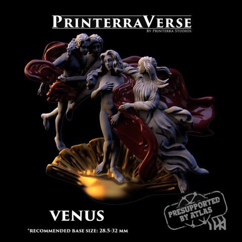 Image of 004-1-021 Venus