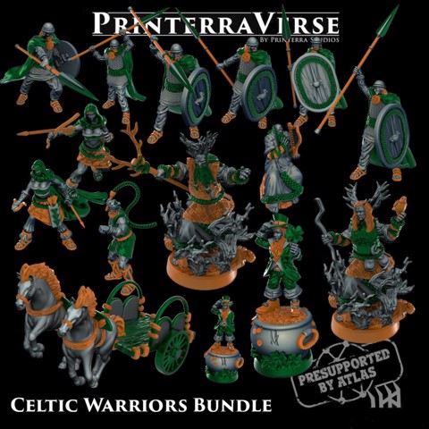Image of 002 Celtic Warriors