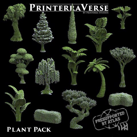 Image of 004 Plant Pack