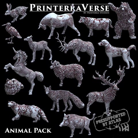 Image of 004 Animal Pack