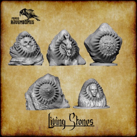 Image of Living stone bundle Pre-supported