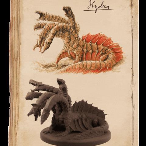 Image of Hydra Miniature