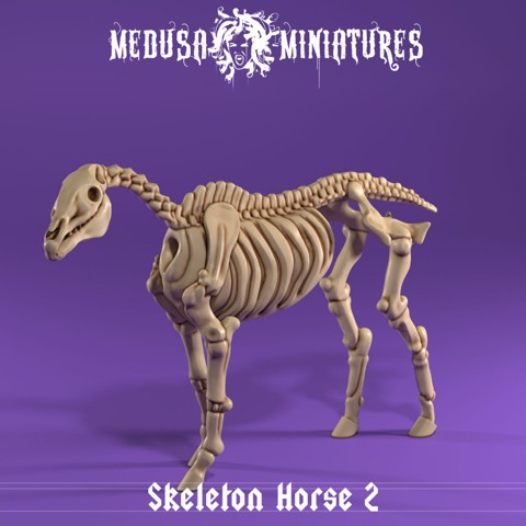 Image of Skeleton Horse - Standing