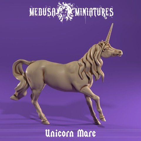 Image of Unicorn Mare Pre-supported