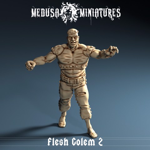 Image of Flesh Golem 2